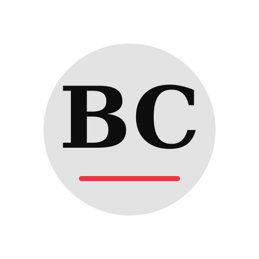 Bozel Chimney Services logo